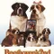 Afacan Köpek Beethoven 2 fragman izle